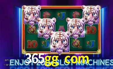 Programa VIP exclusivo da 365gg com